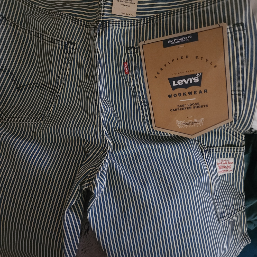Levi's  RAILROAD STRIPED LOOSE Carpenter Shorts